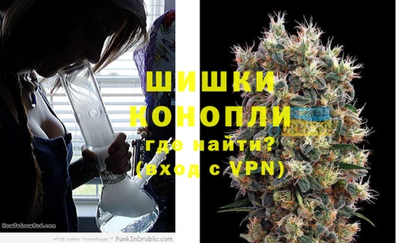 гидра Алексин