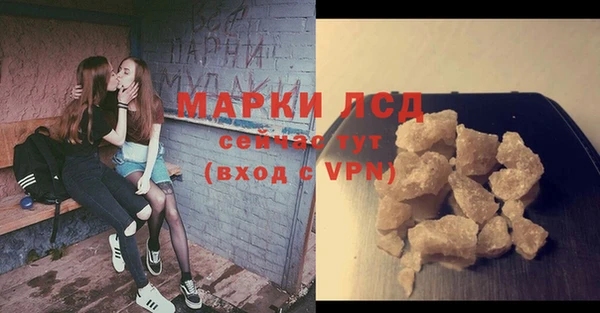 гидра Алексин