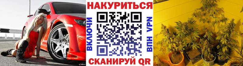 Бошки Шишки планчик  купить закладку  kraken ссылки  shop формула  Артём 